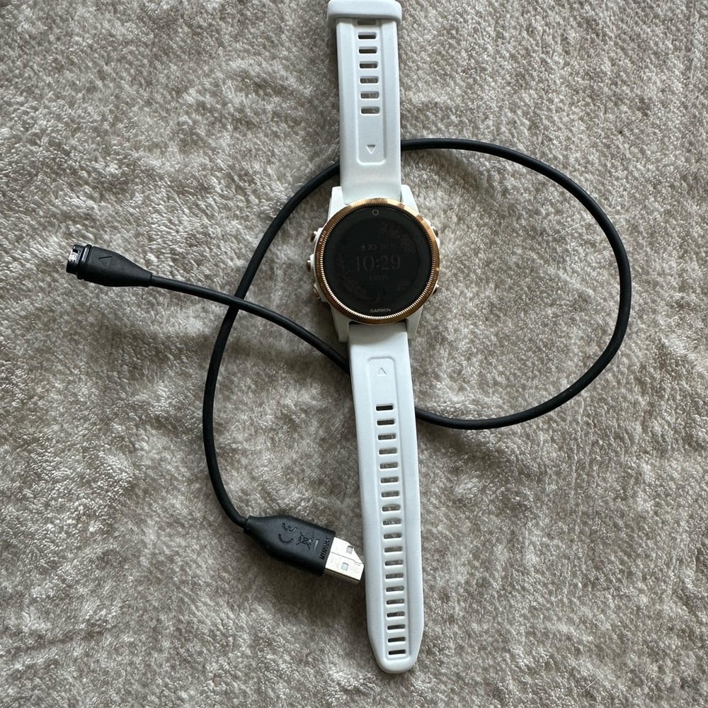 Garmin Fenix 5S